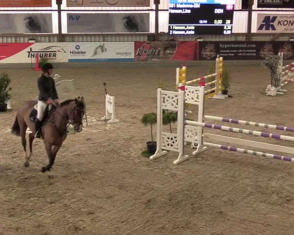 Reitturnier Negernbötel 2021, 10. Nordic Jumping event 2020/2021