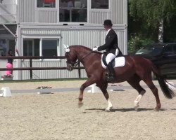 dressage horse Daimond De (Westphalian, 2001, from Dimension)