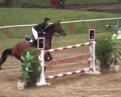 jumper Lord Ratzeputz 2 (German Sport Horse, 2005, from Lansdown)