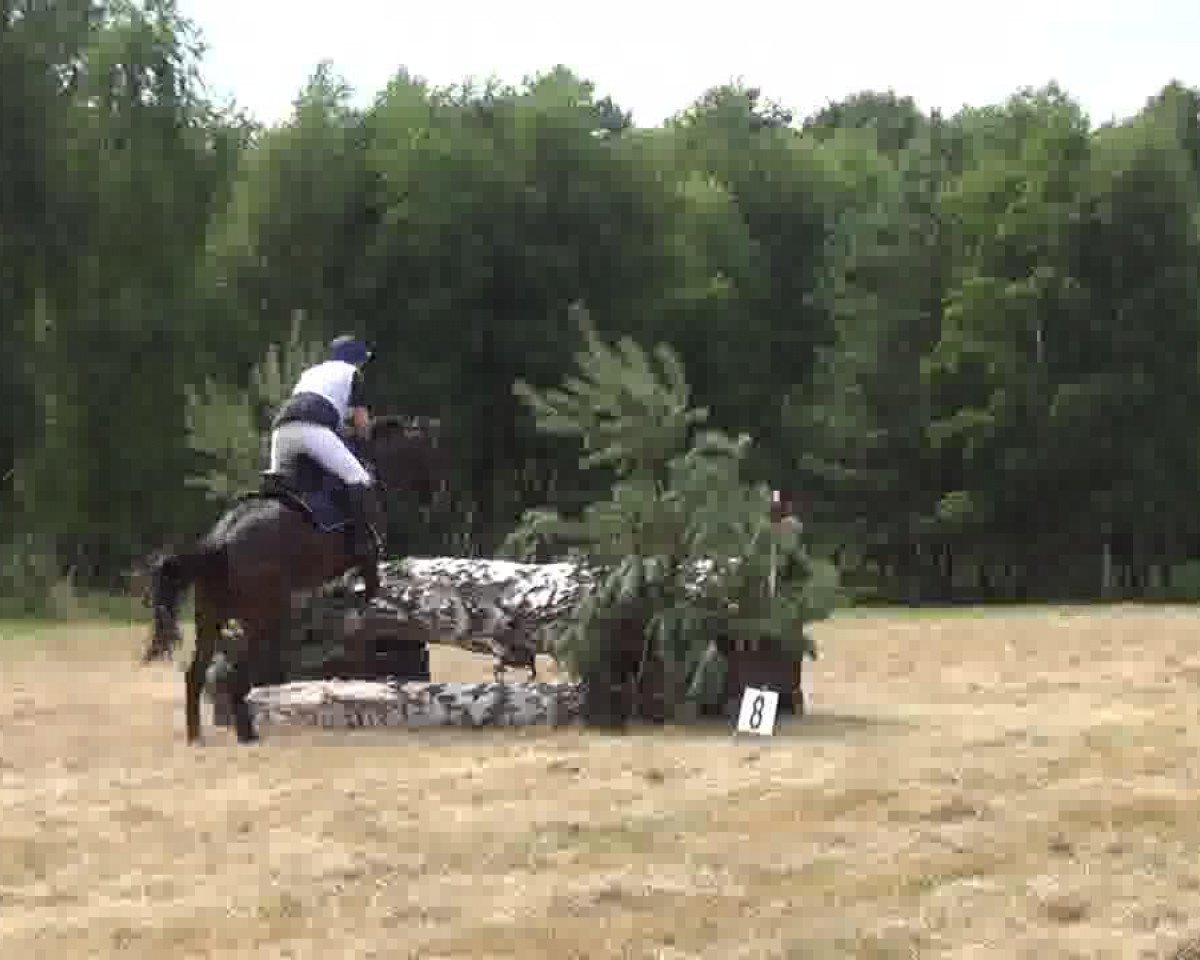 broodmare Luna (German Sport Horse, 2003, from Landrebell)