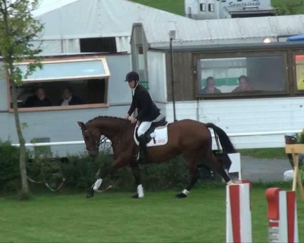 jumper Lucie 210 (German Sport Horse, 2006, from Ludwig von Bayern 168 FIN)