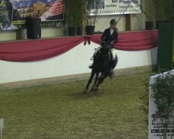 dressage horse Naomi (German Riding Pony, 2001, from Neckar)