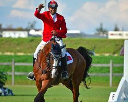 jumper Dadjak ter Puttenen (Belgian Warmblood, 2003, from Toulon)