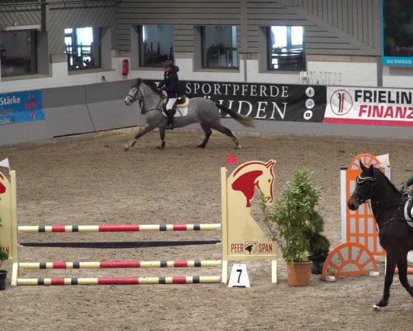 Reitturnier Luhmühlen 2021