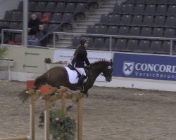 dressage horse Sandy (German Riding Pony, 2005, from Nitendo)