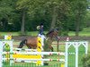 jumper Babett (German Riding Pony, 2005, from Offshore Energy R)