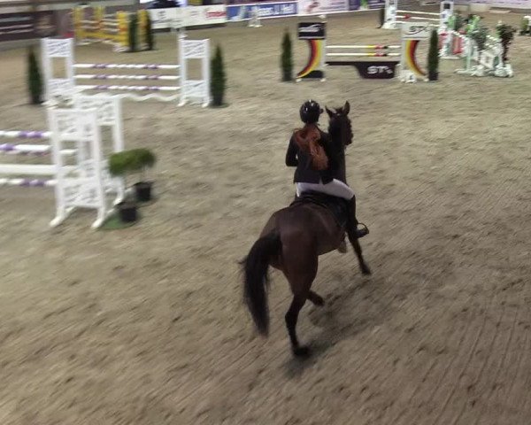 Reitturnier Negernbötel 2021, 10. Nordic Jumping event 2020/2021