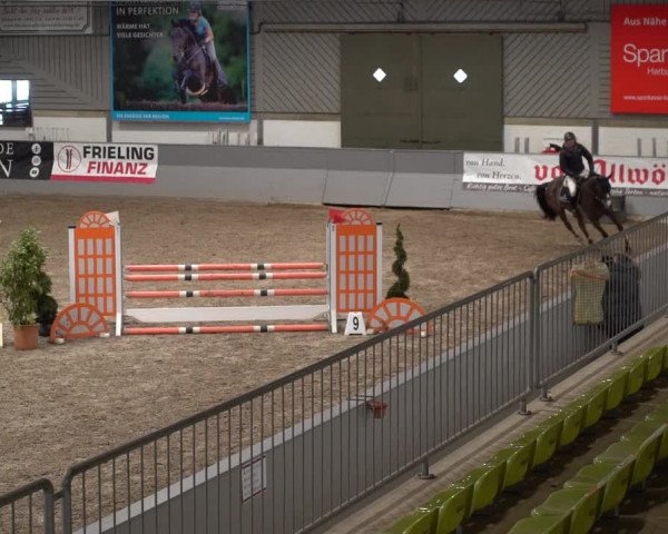 Reitturnier Luhmühlen 2021