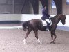 dressage horse Samba Royal 2 (Oldenburg, 2006, from Samba Hit I)