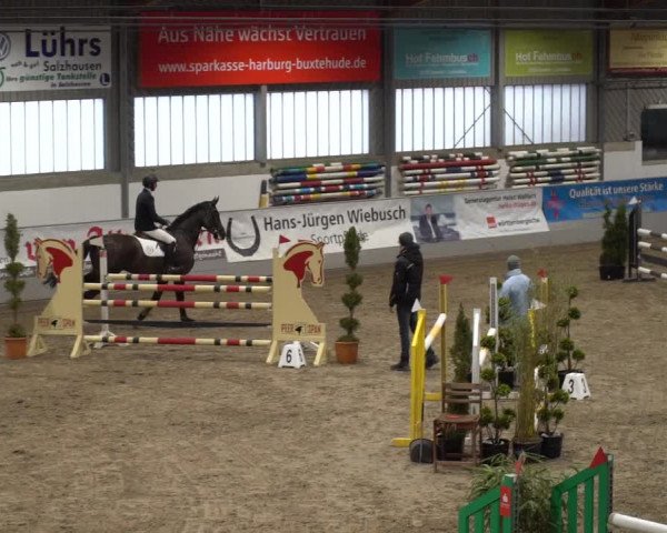 Reitturnier Luhmühlen 2021