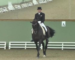 dressage horse Don Rubilord (Oldenburg, 2002, from Don Gregory)