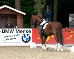 dressage horse Ducati K (Oldenburg, 2006, from Damon Hill)