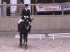 dressage horse Danzatore 2 (Oldenburg, 2004, from De Niro)