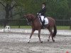 dressage horse Sanshine (Oldenburg, 2005, from San Rubin)