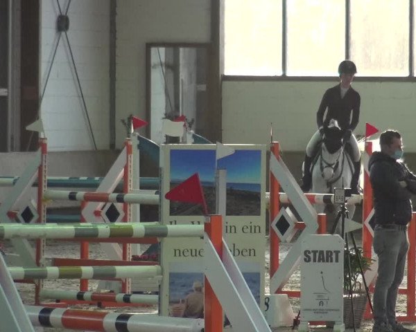 Reitturnier Langenfeld - Gut Langfort 2021