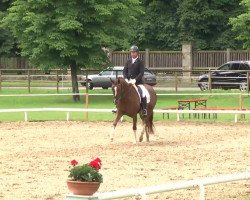 dressage horse Sol de Espana OLD (Oldenburg, 2008, from Fidertanz)