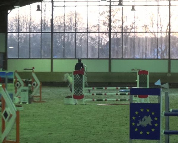 Reitturnier Langenfeld - Gut Langfort 2021