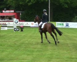 jumper Anthony 100 (Oldenburg, 2007, from Argentinus)