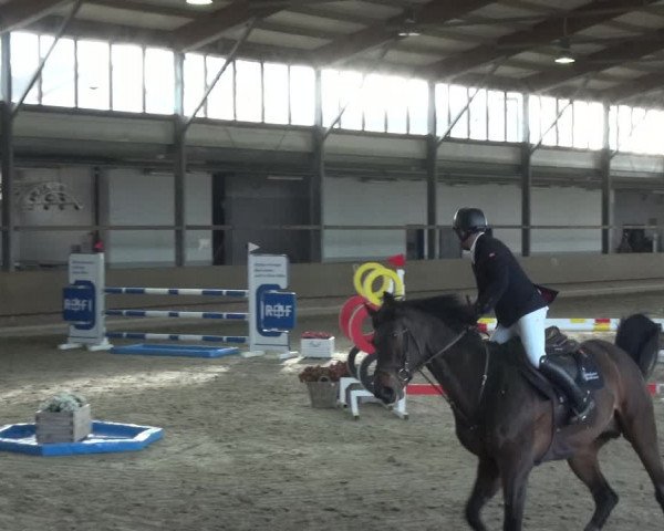 Reitturnier Langenfeld - Gut Langfort 2021