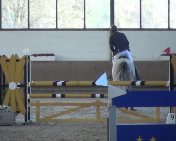 Reitturnier Langenfeld - Gut Langfort 2021