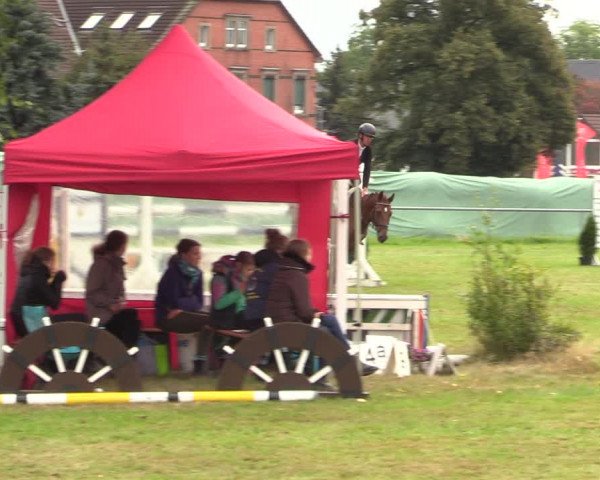 Reitturnier Altmittweida 2021