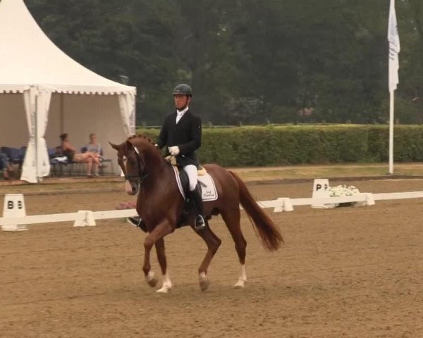 stallion Flexio (Oldenburg, 2008, from Fürst Romancier)