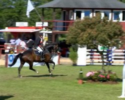 jumper Crossfire 15 (Hanoverian, 2006, from Contendro I)