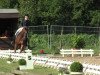 dressage horse Ebbylaine (Hanoverian, 2003, from Ehrenwort)