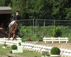 dressage horse Ebbylaine (Hanoverian, 2003, from Ehrenwort)