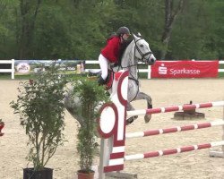 jumper Esos (Hanoverian, 2004, from El Bundy)