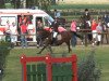 jumper Donata 278 (Hanoverian, 2005, from D'Artagnon)