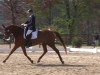 broodmare Bella Bonita 6 (Hanoverian, 2007, from Brentano II)