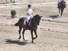 dressage horse Danny Belucci (Hanoverian, 2004, from Don Vino)