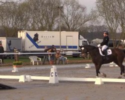 dressage horse Fietje L (Hanoverian, 2002, from Fabriano)