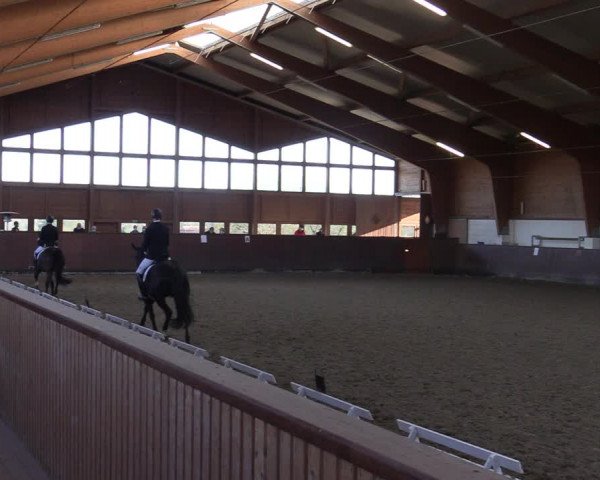 Reitturnier Buchholz in der Nordheide 2021