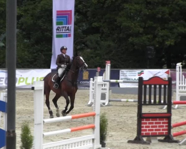 jumper Gretaschi (Hanoverian, 2004, from Graf Top)