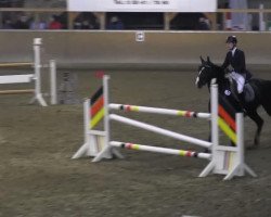 jumper Semra 3 (Hanoverian, 2005, from Stedinger)