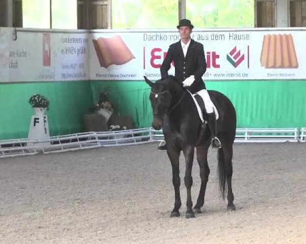 dressage horse Ruby Noir 4 (Hanoverian, 2007, from Riccione)