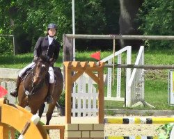 dressage horse Ducksteiner (Hanoverian, 2001, from Davignon I)