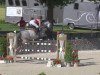 jumper Satellite M (Hanoverian, 2007, from Stalypso)