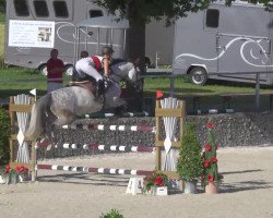 jumper Satellite M (Hanoverian, 2007, from Stalypso)