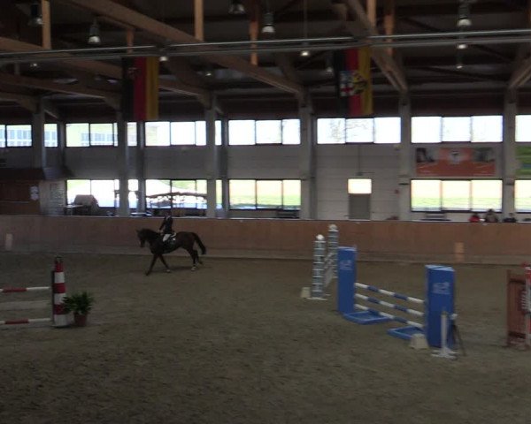 Reitturnier Prussendorf 2021
