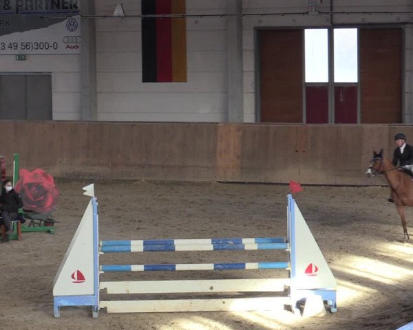 Reitturnier Prussendorf 2021
