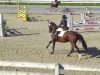 jumper Kid Rock 4 (Hanoverian, 2007, from Stalypso)