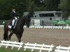 broodmare Dancing Daylight (Hanoverian, 2003, from Davignon I)