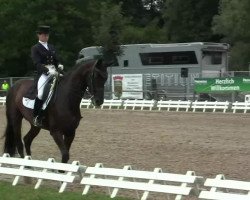 broodmare Dancing Daylight (Hanoverian, 2003, from Davignon I)