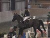 jumper Go on's Gisela (Hanoverian, 2006, from GO on)