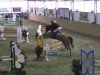 jumper Apahatschi 4 (Hanoverian, 2004, from Adlantico As)