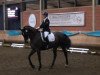 dressage horse Rio de Janeiro 21 (Hanoverian, 2005, from Riccione)