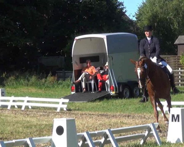 dressage horse Damiana 3 (Hanoverian, 2001, from De Niro)